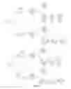 Fig. 09 - Indoline alkaloid compounds