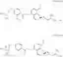 Fig. 13 - Geranyl flavonoid derivative with improved water solubility, a method for preparing the same, and a method for treating cancer using the same