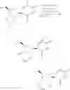 Fig. 19 - 5-METHYLURIDINE METHOD FOR PRODUCING FESTINAVIR