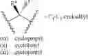 Fig. 103 - Methods of synthesizing a difluorolactam analog