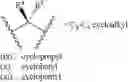 Fig. 152 - Methods of synthesizing a difluorolactam analog