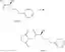 Fig. 200 - Methods of synthesizing a difluorolactam analog