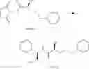 Fig. 201 - Methods of synthesizing a difluorolactam analog