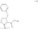 Fig. 51 - Methods of synthesizing a difluorolactam analog
