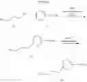 Fig. 71 - Methods of synthesizing a difluorolactam analog