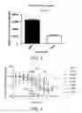 Fig. 03 - DOT1L inhibitors