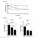 Fig. 05 - Thiosaccharide mucolytic agents