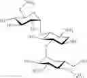 Fig. 09 - Aminoglycosides, Methods of Synthesis, and Associated Applications