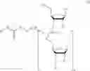 Fig. 04 - Nucleotide and oligonucleotide prodrugs