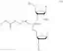 Fig. 05 - Nucleotide and oligonucleotide prodrugs