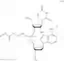 Fig. 06 - Nucleotide and oligonucleotide prodrugs