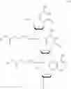 Fig. 08 - Nucleotide and oligonucleotide prodrugs