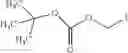 Fig. 100 - Nucleotide and oligonucleotide prodrugs