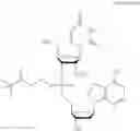 Fig. 102 - Nucleotide and oligonucleotide prodrugs