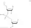 Fig. 28 - Nucleotide and oligonucleotide prodrugs