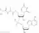 Fig. 32 - Nucleotide and oligonucleotide prodrugs