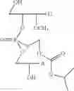 Fig. 37 - Nucleotide and oligonucleotide prodrugs