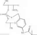 Fig. 44 - Nucleotide and oligonucleotide prodrugs