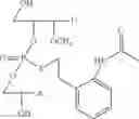 Fig. 49 - Nucleotide and oligonucleotide prodrugs