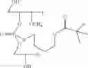 Fig. 57 - Nucleotide and oligonucleotide prodrugs