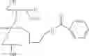 Fig. 59 - Nucleotide and oligonucleotide prodrugs