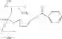 Fig. 61 - Nucleotide and oligonucleotide prodrugs