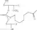 Fig. 62 - Nucleotide and oligonucleotide prodrugs