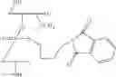 Fig. 65 - Nucleotide and oligonucleotide prodrugs