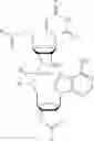 Fig. 69 - Nucleotide and oligonucleotide prodrugs