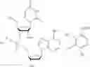 Fig. 70 - Nucleotide and oligonucleotide prodrugs