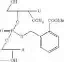 Fig. 72 - Nucleotide and oligonucleotide prodrugs