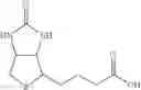 Fig. 74 - Nucleotide and oligonucleotide prodrugs
