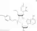 Fig. 89 - Nucleotide and oligonucleotide prodrugs