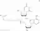 Fig. 91 - Nucleotide and oligonucleotide prodrugs