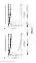 Fig. 04 - Amphiphilic compounds