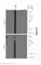 Fig. 11 - Amphiphilic compounds