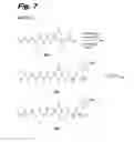 Fig. 09 - Antiproliferative compounds, conjugates thereof, methods therefor, and uses thereof
