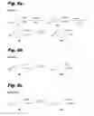 Fig. 10 - Antiproliferative compounds, conjugates thereof, methods therefor, and uses thereof