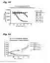 Fig. 16 - Antiproliferative compounds, conjugates thereof, methods therefor, and uses thereof
