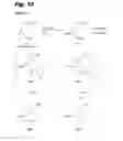 Fig. 17 - Antiproliferative compounds, conjugates thereof, methods therefor, and uses thereof