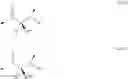 Fig. 06 - Beta-hairpin peptidomimetics