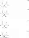 Fig. 09 - Beta-hairpin peptidomimetics