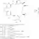 Fig. 16 - MACROCYCLIC THERAPEUTIC AGENTS AND METHODS OF TREATMENT