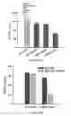 Fig. 05 - Platforms for cell-free protein synthesis comprising extracts from genomically recoded strains having genetic knock-out mutations in release factor 1 (RF-1) and endA