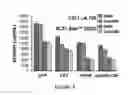 Fig. 11 - Platforms for cell-free protein synthesis comprising extracts from genomically recoded strains having genetic knock-out mutations in release factor 1 (RF-1) and endA