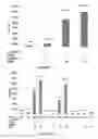 Fig. 16 - Platforms for cell-free protein synthesis comprising extracts from genomically recoded strains having genetic knock-out mutations in release factor 1 (RF-1) and endA