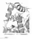 Fig. 02 - SULFONYLUREA-RESPONSIVE REPRESSOR PROTEINS