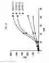 Fig. 12 - Human ferritin-derived fusion polypeptide