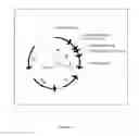 Fig. 13 - Endoplasmic reticulum localization signals