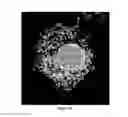 Fig. 14 - Endoplasmic reticulum localization signals